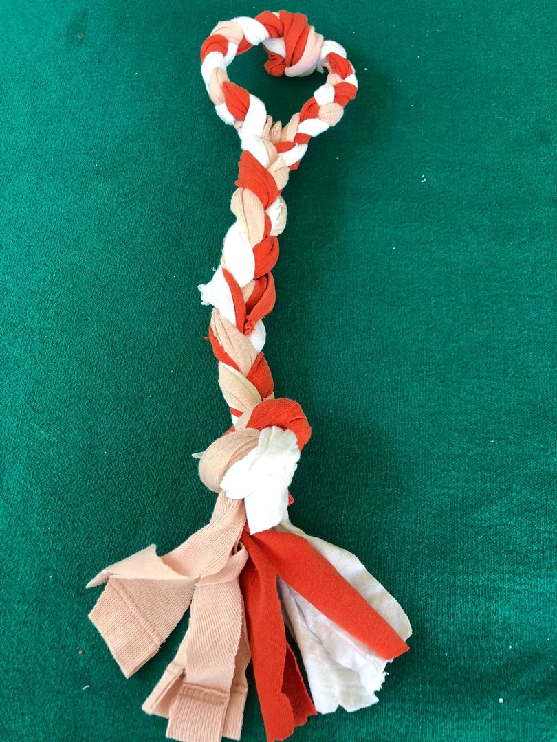 Diy braided clearance dog toy