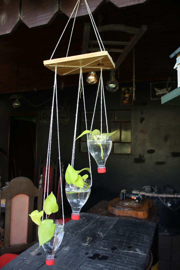 How to Grow Plants in a Bottle l Growing Plants in a DIY Pot In 16