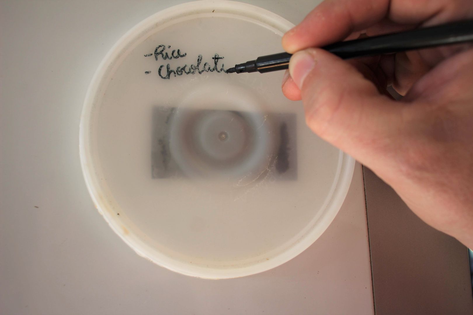 Case Audio HIFI 2000 Slim Line 02/280 | 2 Unità, Frontale 10mm Argento - Chassis Per DIY Made In Italy - Foto 7