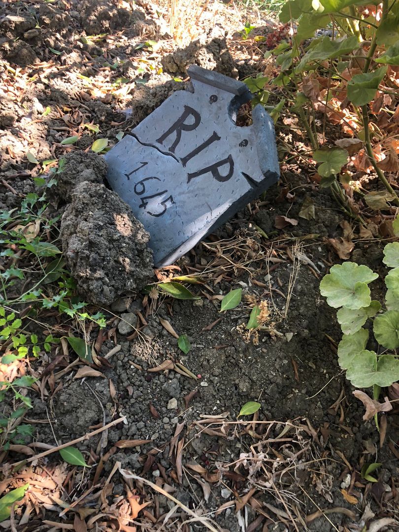 Lapide Di Halloween Con Teschio | 53 Cm | Decorazione Cimitero Finto | Resistente Alle Intemperie