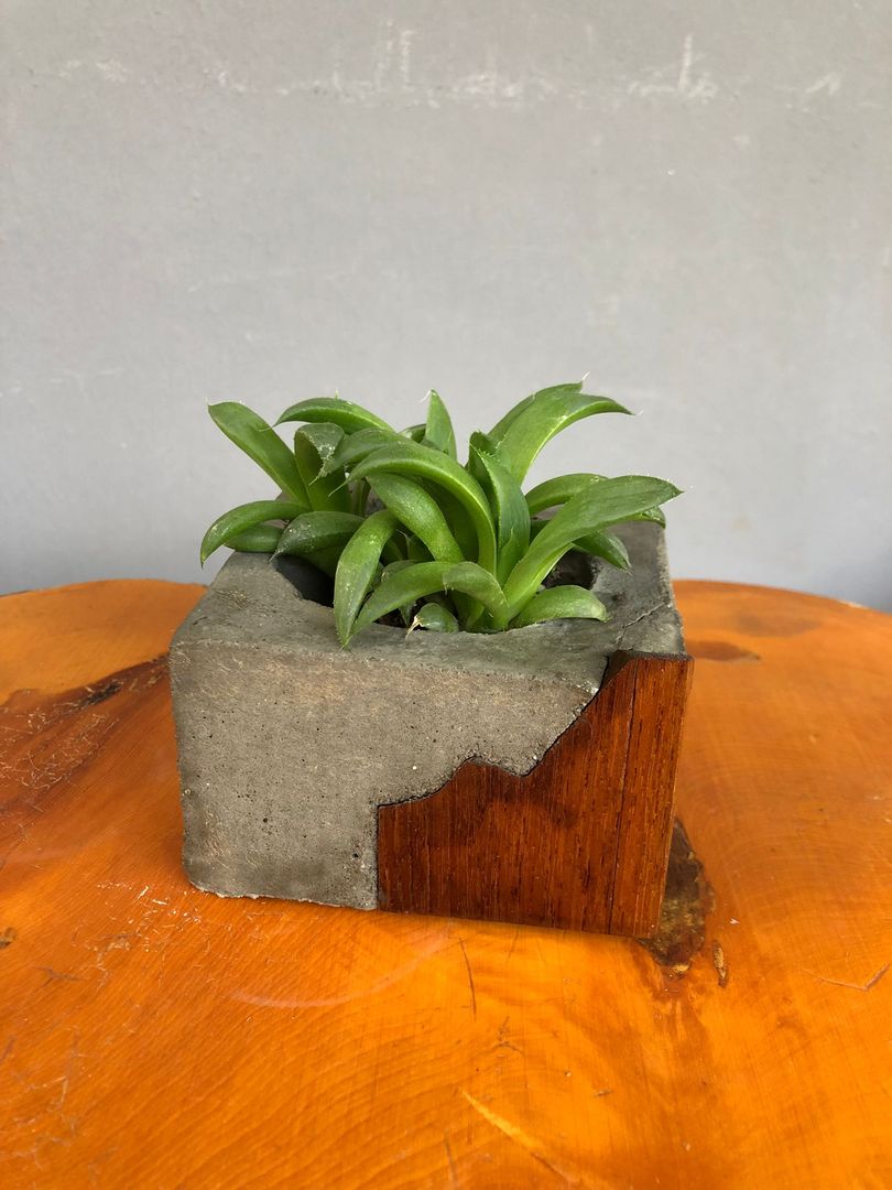 How to Make a DIY Concrete Planter Easy Stepbystep Tutorial with Photos homify