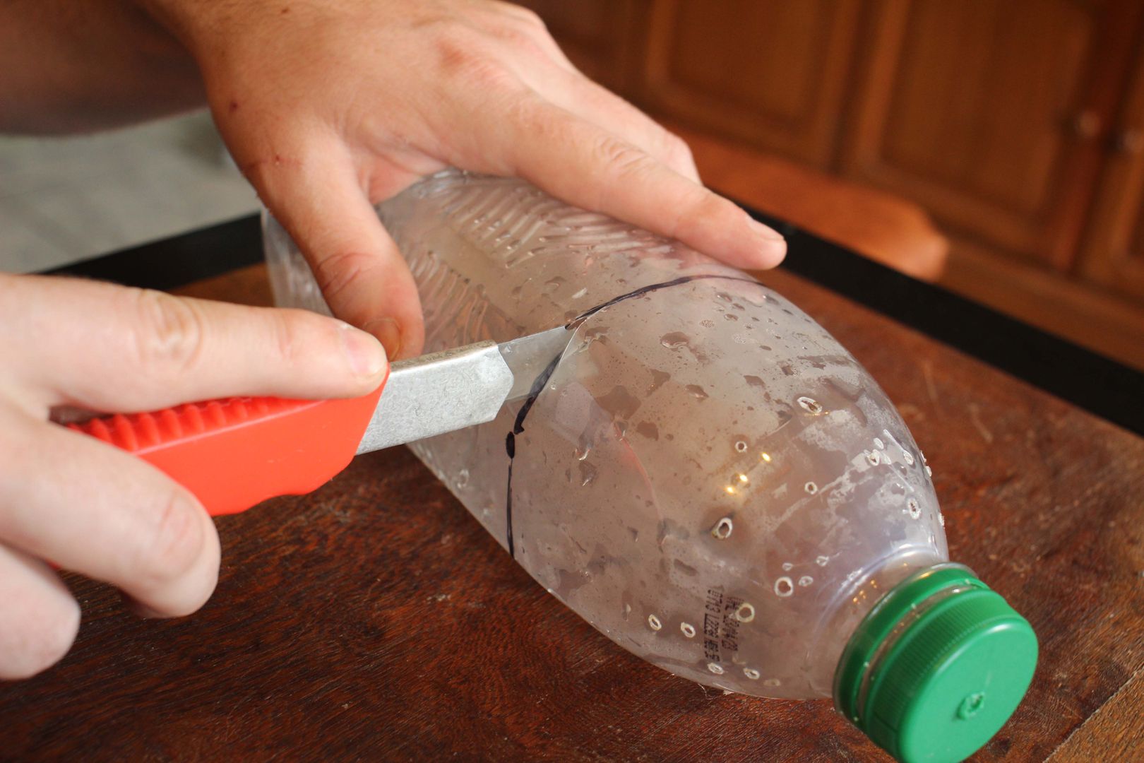 Modi per riutilizzare le bottiglie di plastica per il tuo giardino in 18  passi