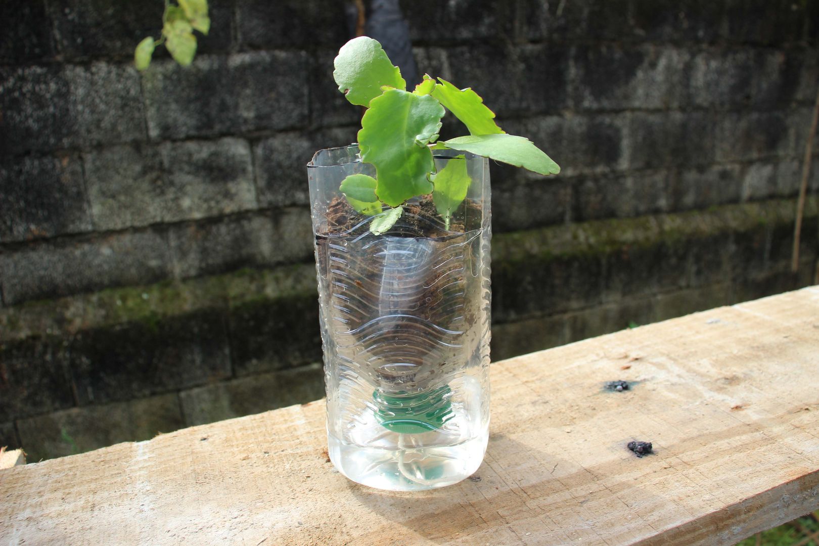 1. Fikir / 8. Adım: Tamamlandı