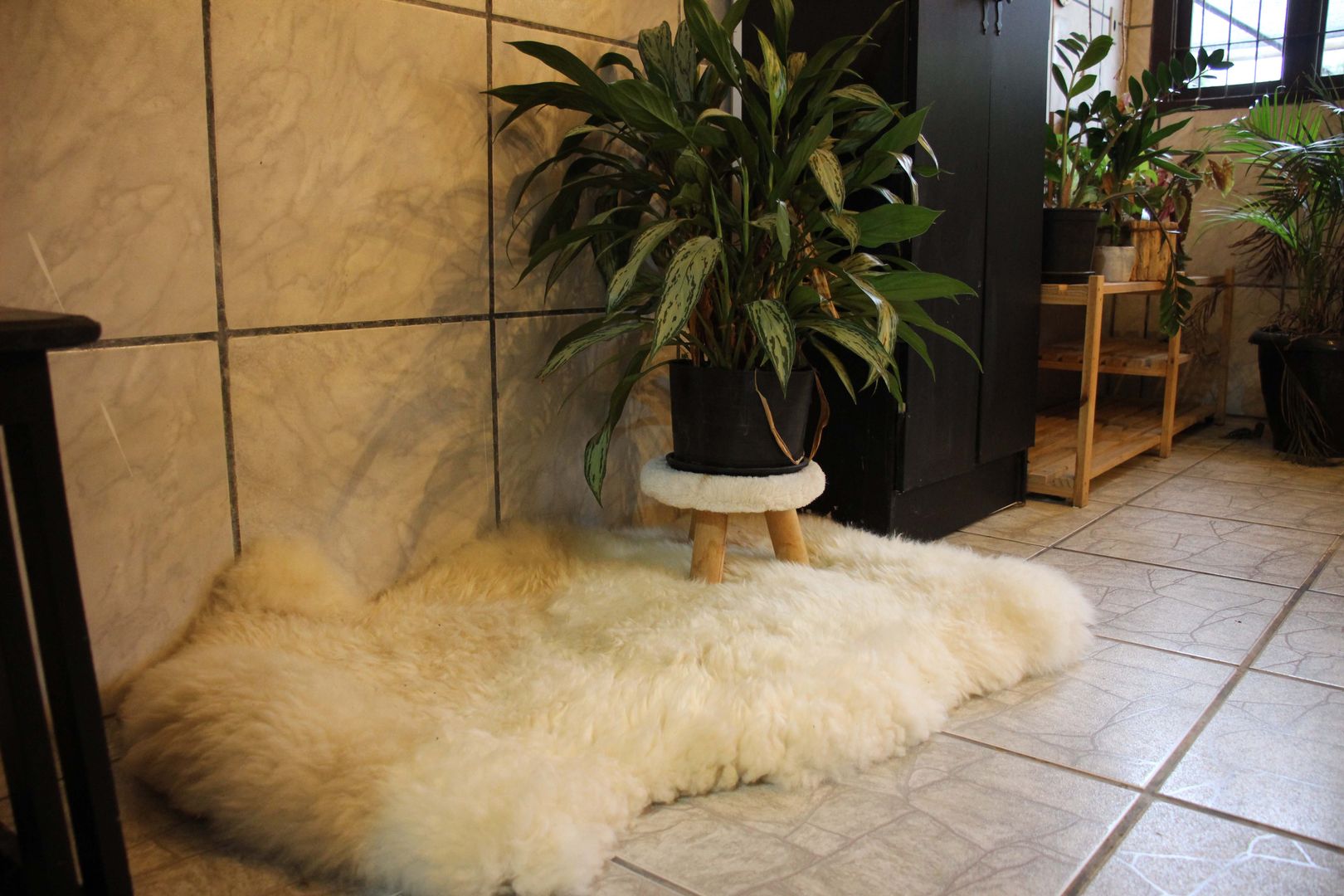 how-to-clean-a-sheepskin-rug-in-14-diy-steps-homify