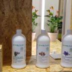 Gala Feng Shui Interiorismo online en Azpeitia