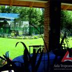 Aida Tropeano &amp; Asoc.