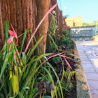 Nosaltres Toquem Fusta S.L.