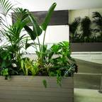 Nosaltres Toquem Fusta S.L.