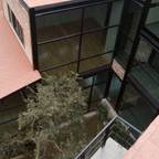 ARQ. FRANCISCO GODINEZ ALVA