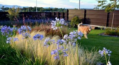 La Paisajista – Jardines con Alma