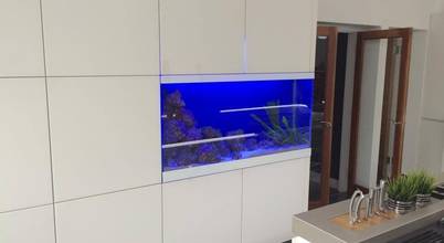 Dc Aquariums Weitere Unternehmen In Bonnybridge Homify