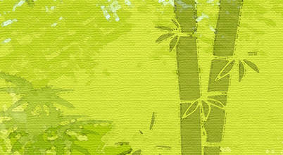 mein bordurenladen online shops in bad liebenstein homify