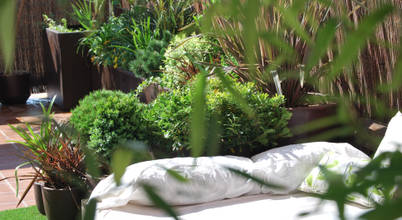 El creador de paisajes