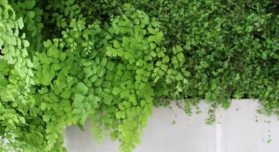 SOiL arquitectura del paisaje