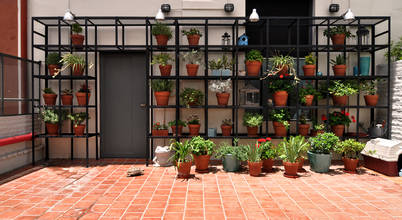 Matealbino arquitectura