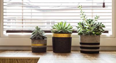 ZAWICKA-ID Projektowanie wnętrz