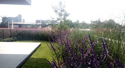 Verde Lavanda