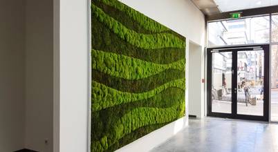 AMMON Raumbegrünung