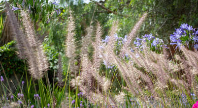 Espacio Arquitectura de Paisaje