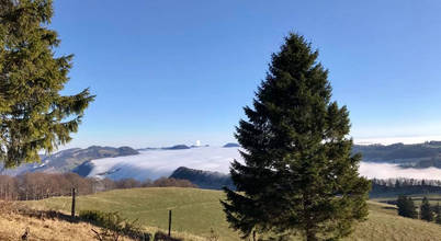 Die Oekologie ist Teil des Namens von Necono AG und die wichtigste Aufgabe unserer Firma Necono AG Ausgefallene Wohnzimmer Himmel, Anlage, Baum, Wolke, Natürliche Landschaft, Natürlichen Umgebung, Lärche, Neigung, Hochland, Grundstück