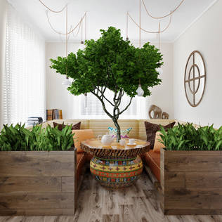 Arquitectura: artículos, tips e información | homify