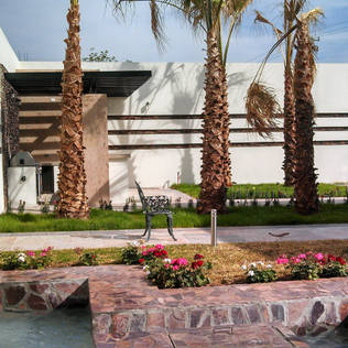 7 quick and easy landscaping for your front yard  