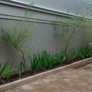 Taman by Borges Arquitetura & Paisagismo