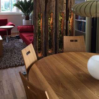 Oturma ve Yemek Odasını Ayırmak için 10 Harika Fikir