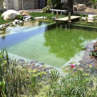 Küçük bahçe ve teraslar için 17 küçük havuz modeli