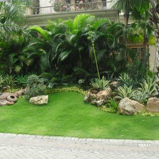 TAMAN KLASIK | TUKANG TAMAN SURABAYA:  Taman by NISCALA GARDEN | Tukang Taman Surabaya
