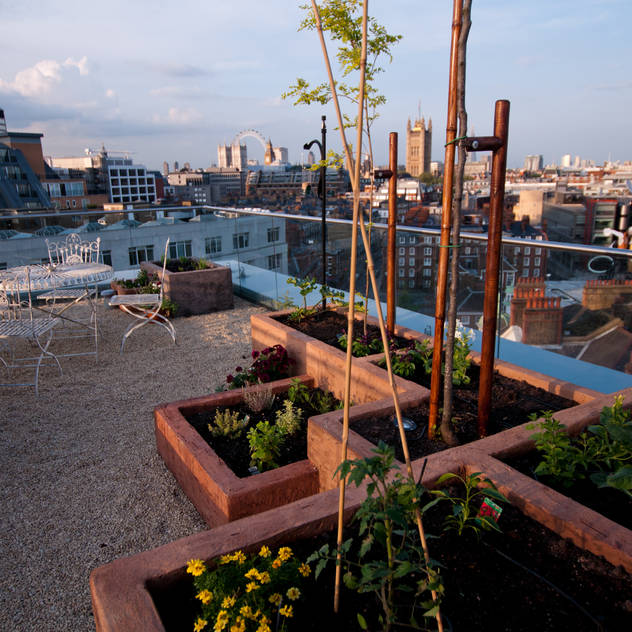 Victoria 2, London: Terrace by Urban Roof Gardens