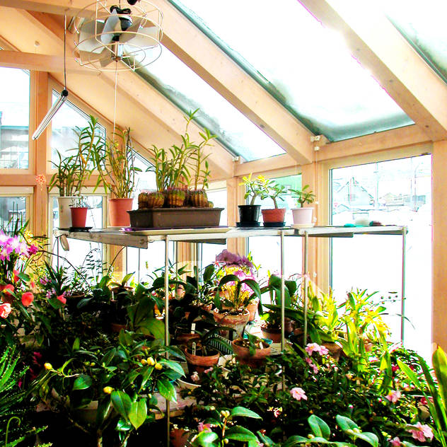 温室のある北国の家 モダンスタイルの 温室 の ユミラ建築設計室 モダン