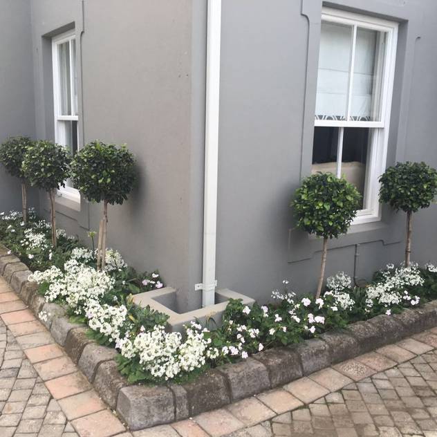 Jardines de estilo por Helen Sparg Landscape Designer