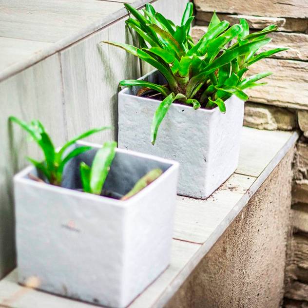 Jardines de estilo rural por Principia Design