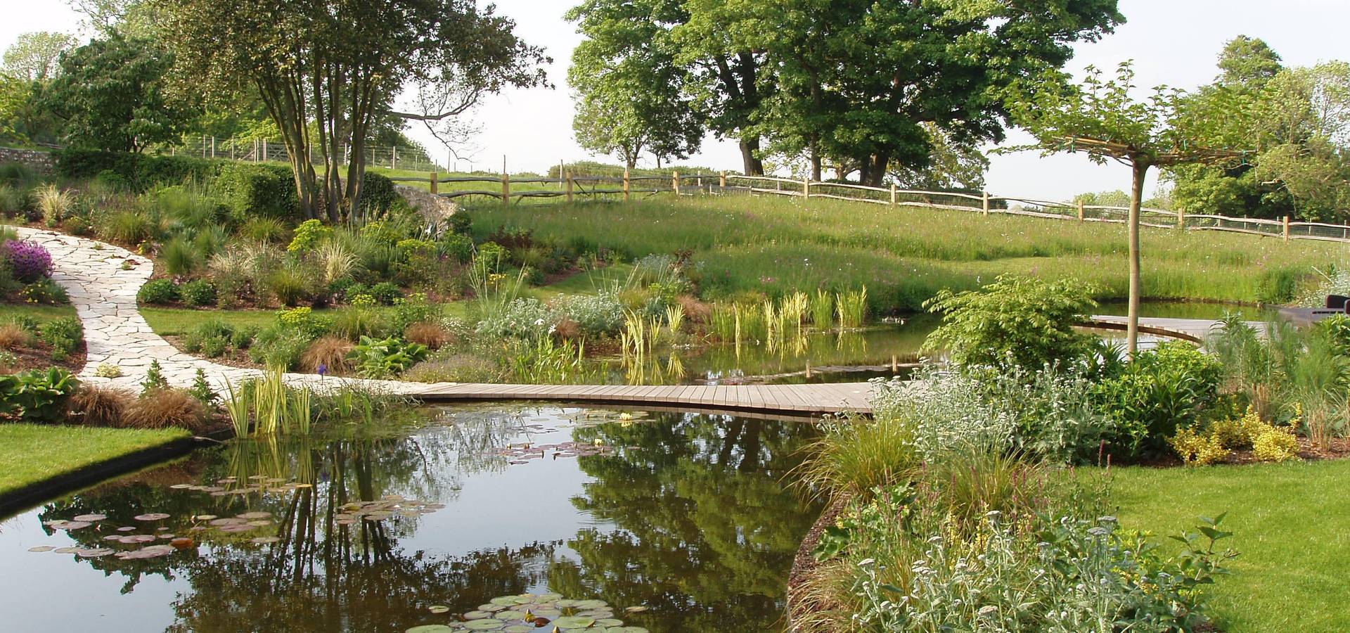 Wildflower Turf