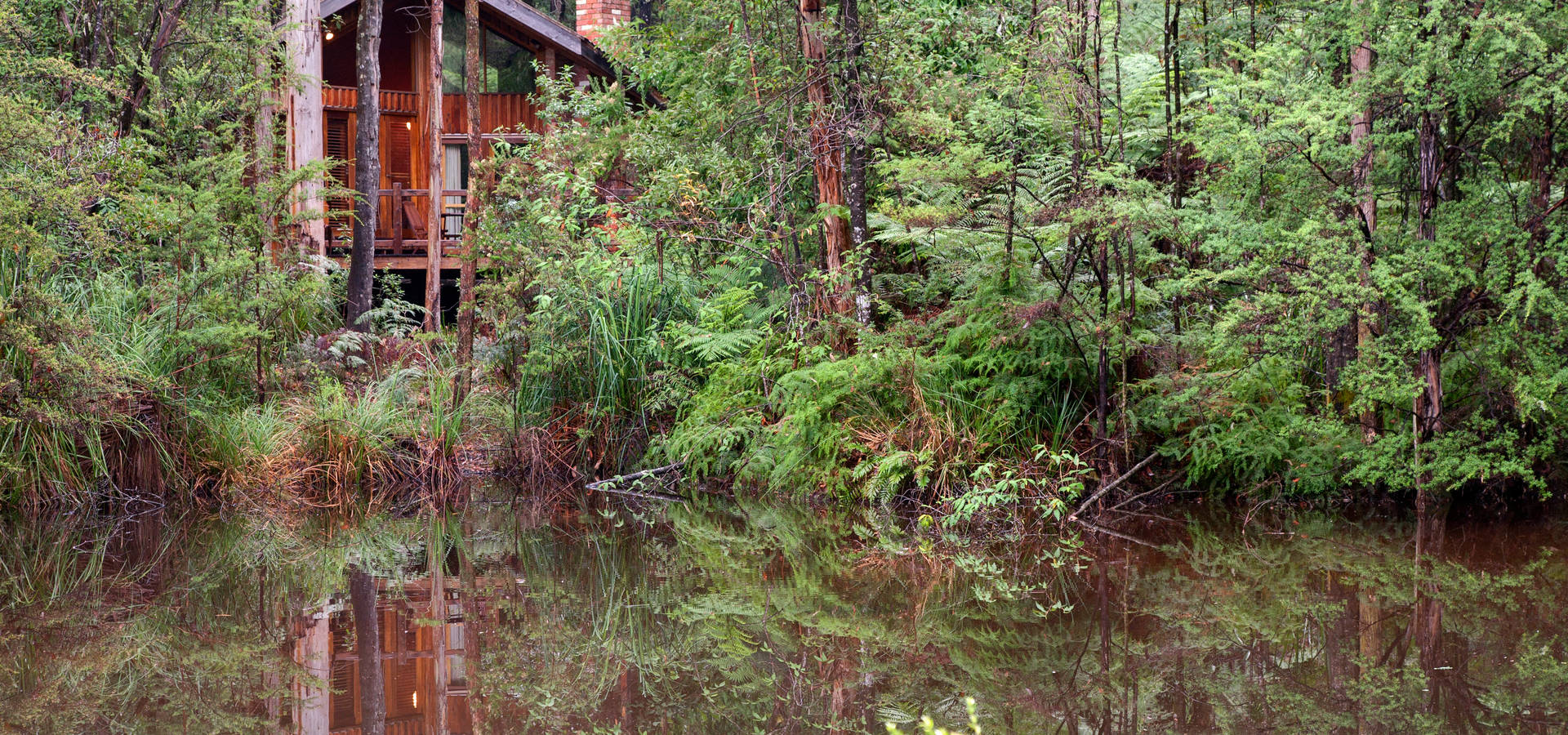 Woodlands Rainforest Retreat