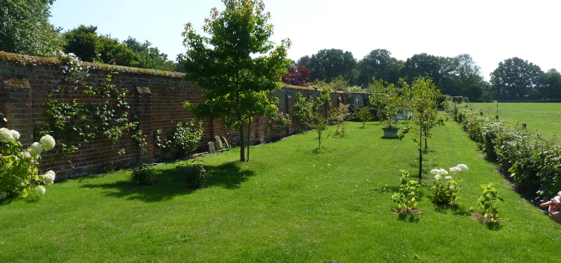 Cornus Garden Design