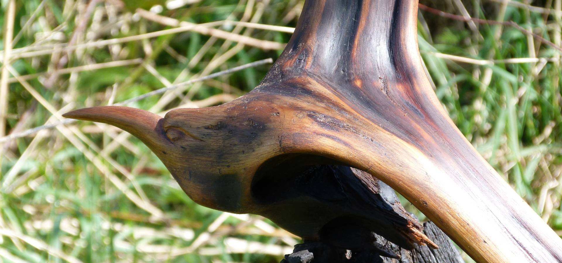 Irish Bog Wood Sculpture