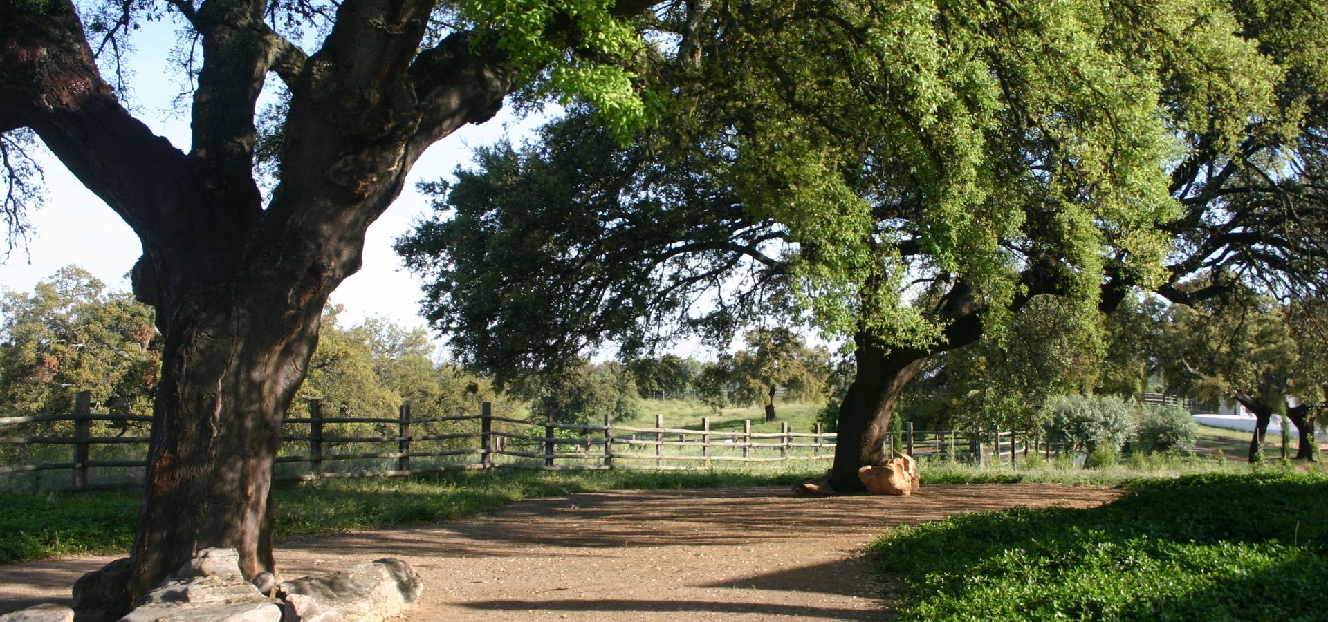 LA BELLA SOMBRA PAISAJISMO