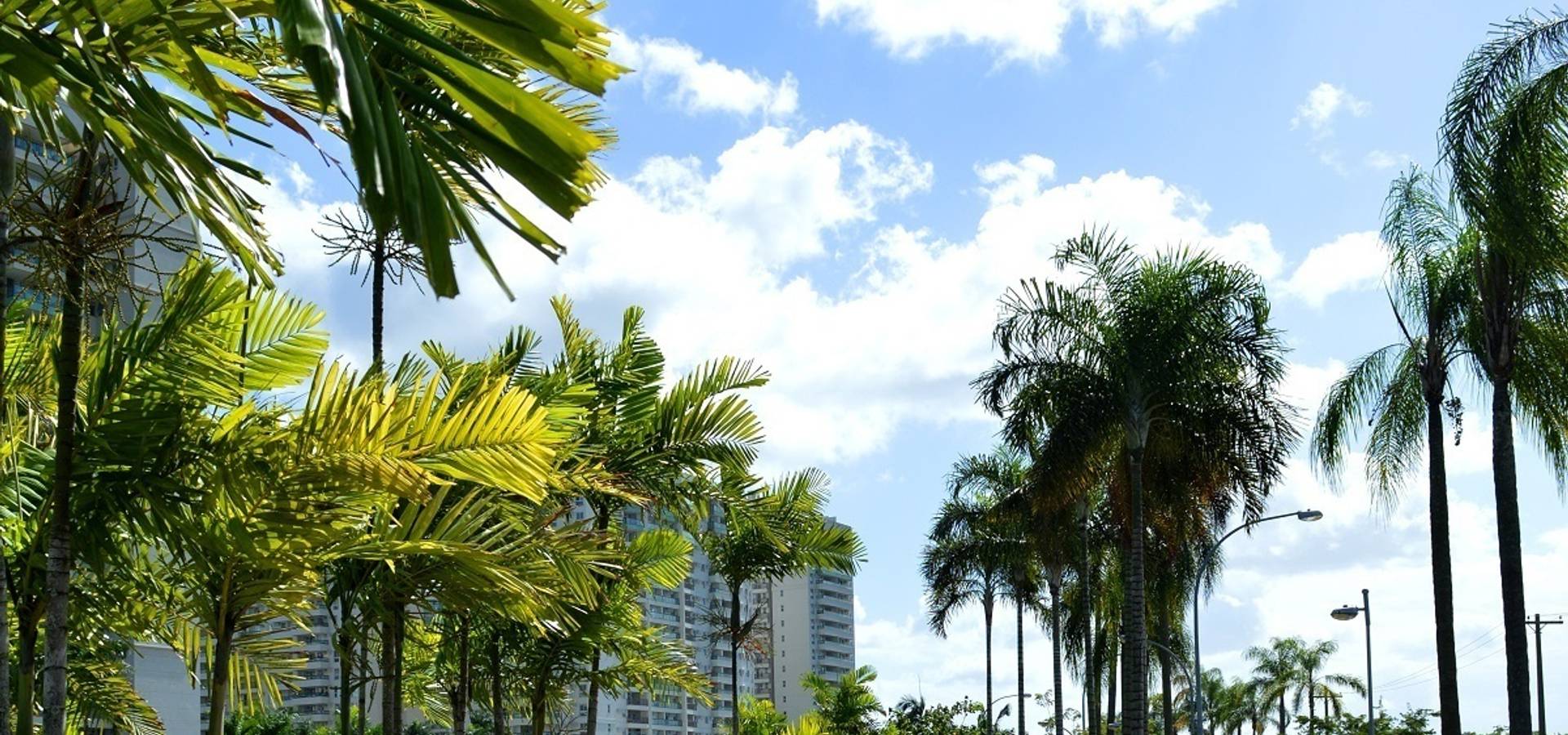 Benedito Abbud Arquitetura Paisagística