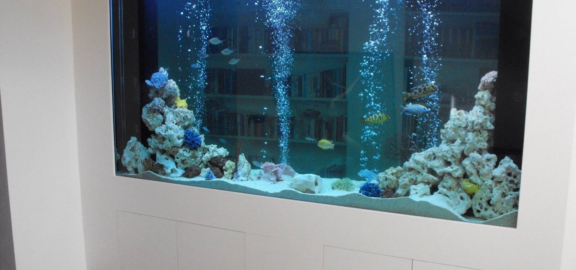 Aquarium Services