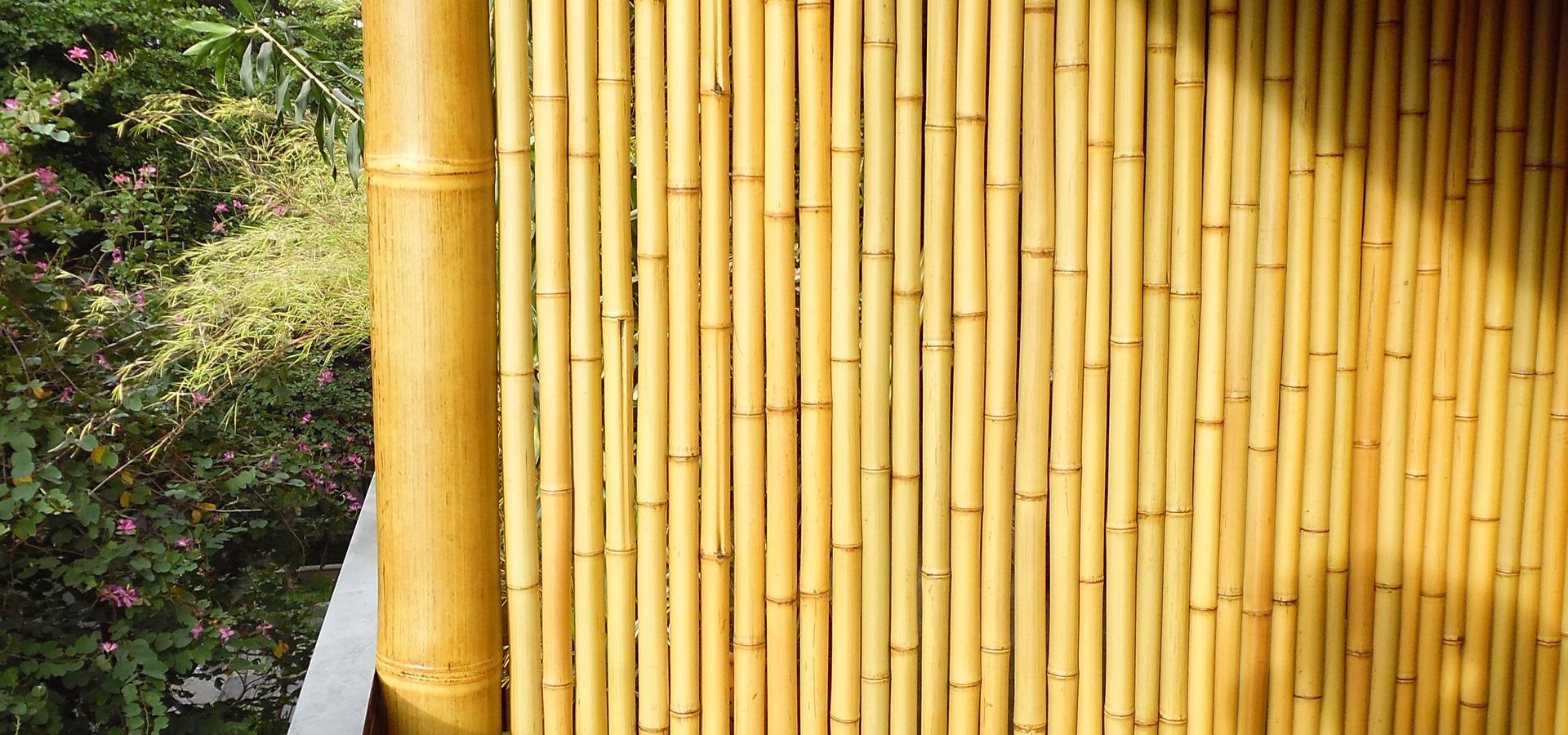 Bambu Rei Eco-Design