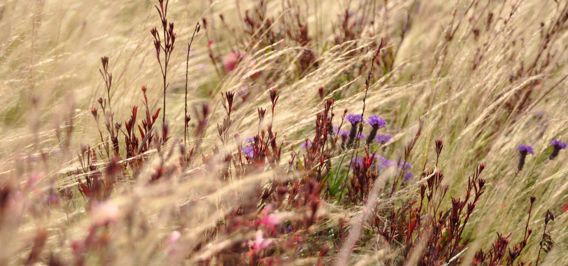 exTerra | consulenze ambientali e design nel verde