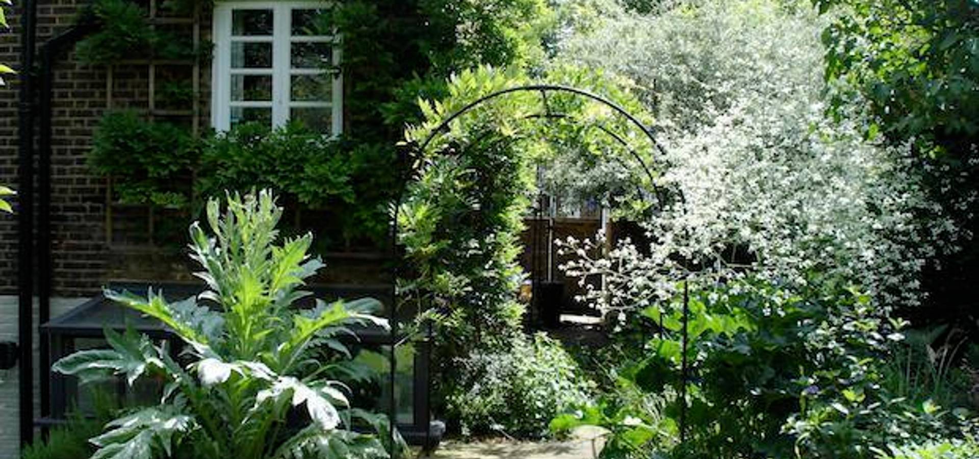 carol whitehead garden design