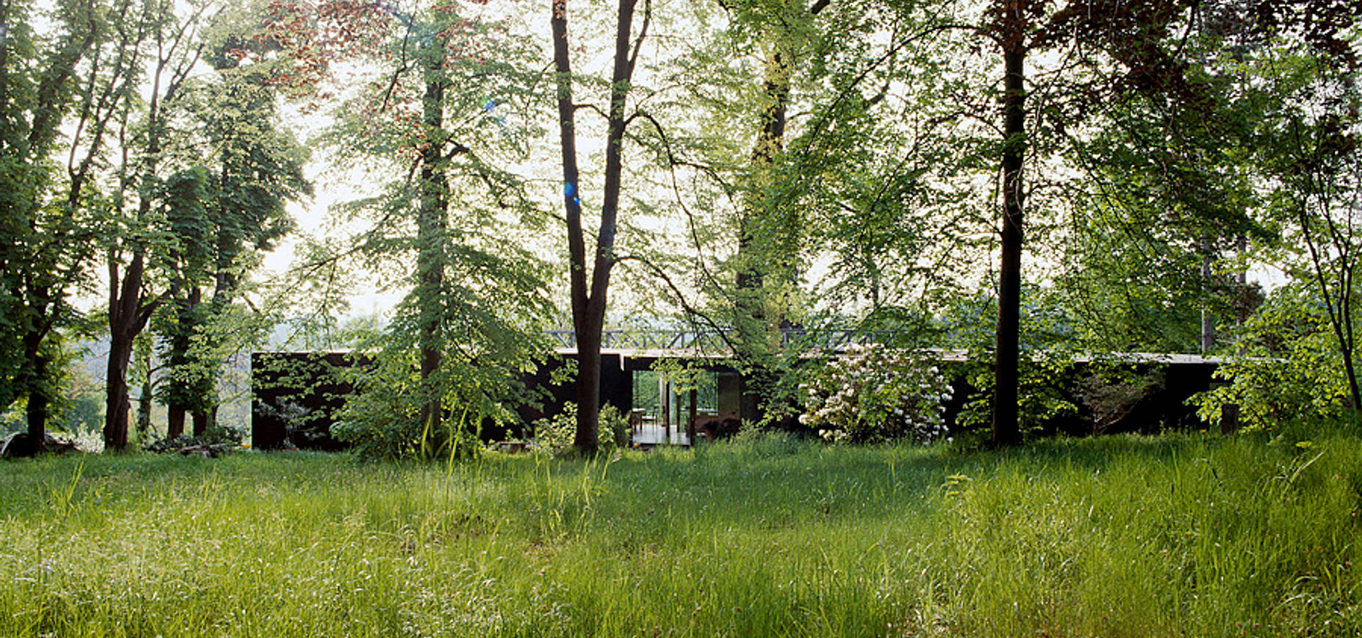 Haus T Graz Osterreich Von Feyferlik Fritzer Homify