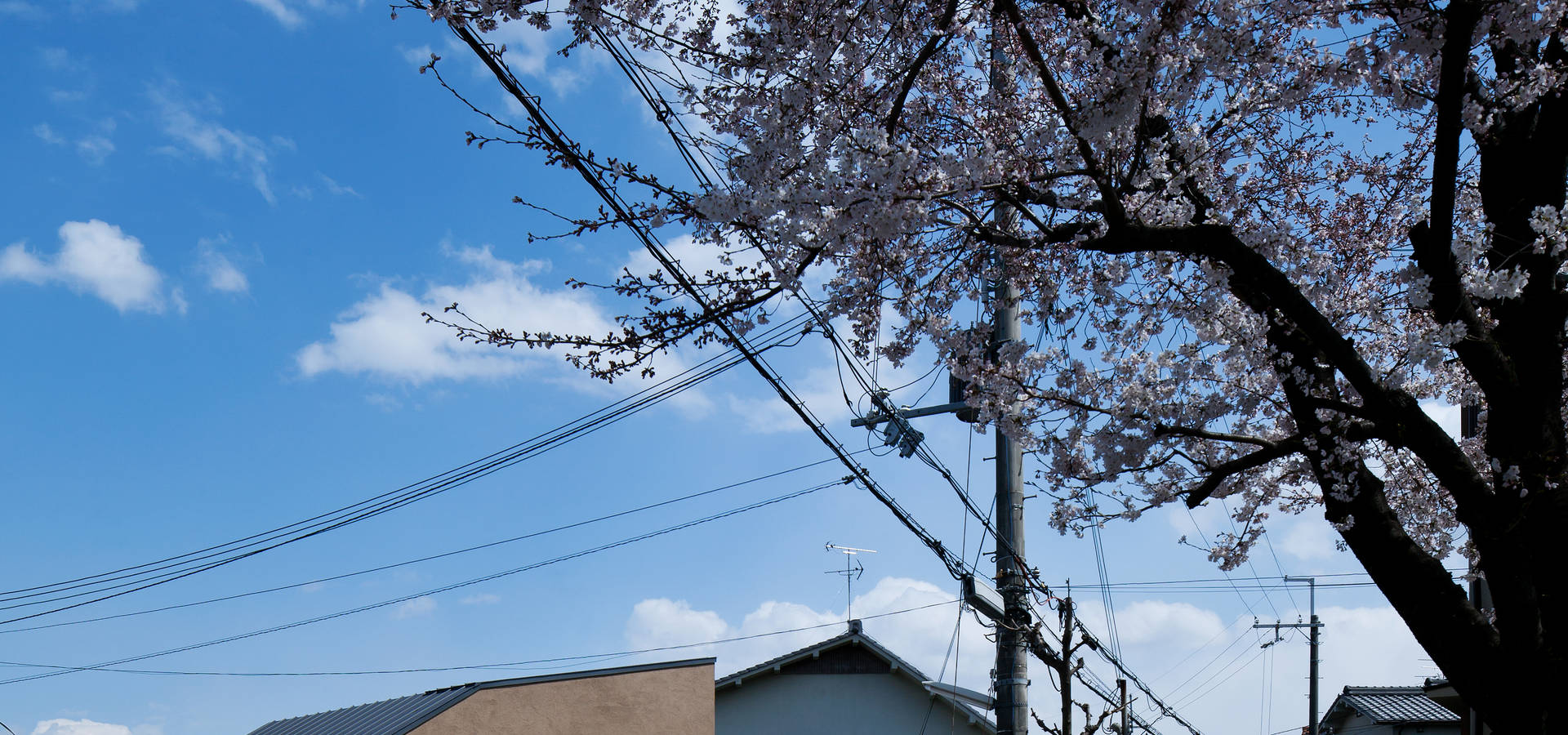 藤森大作建築設計事務所