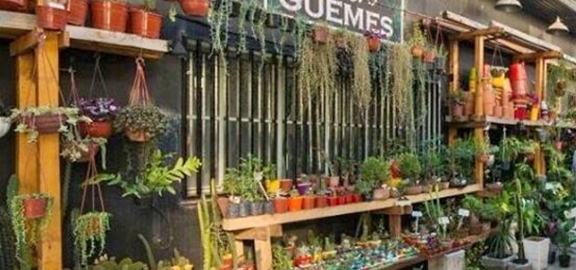 vivero guemes