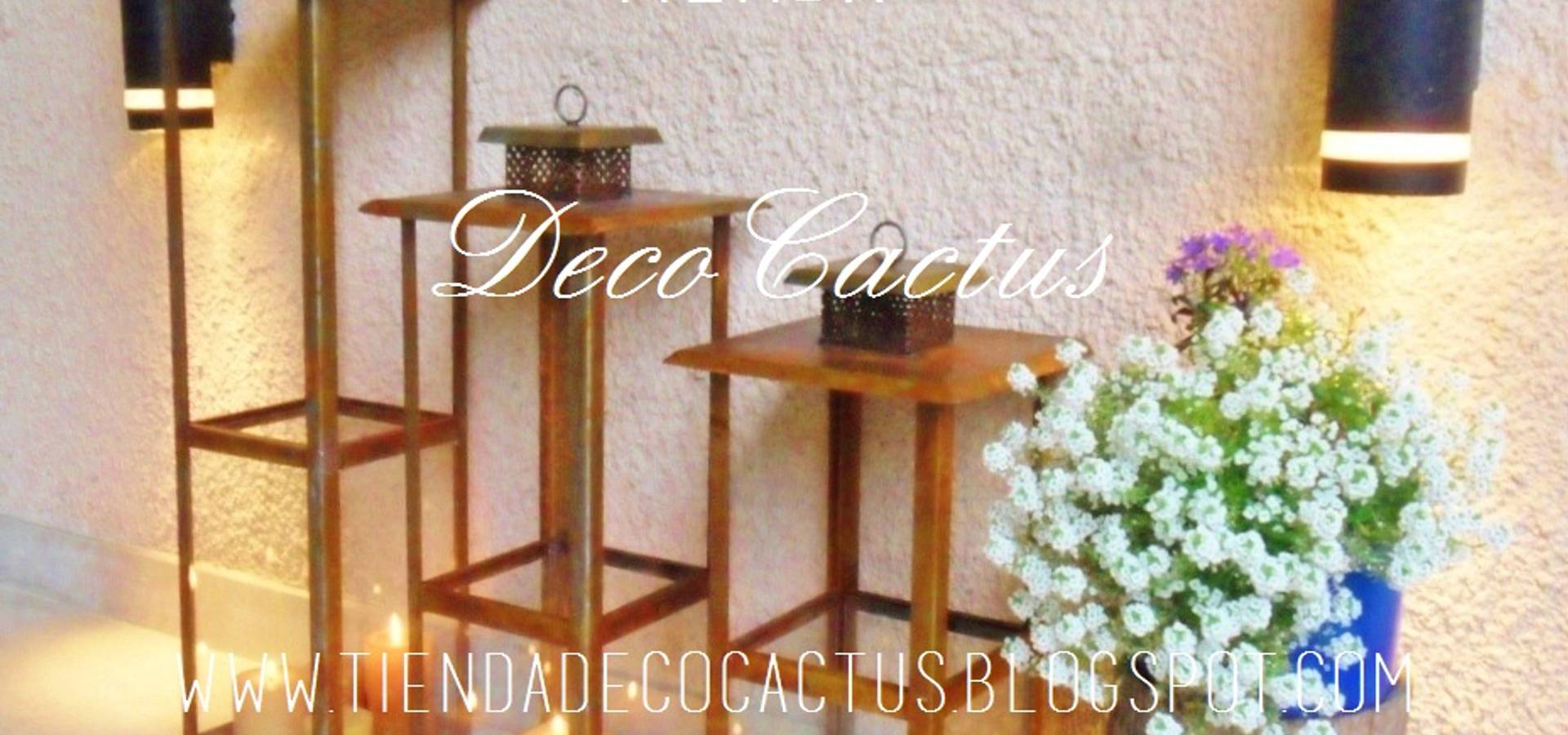 Tienda DecoCactus