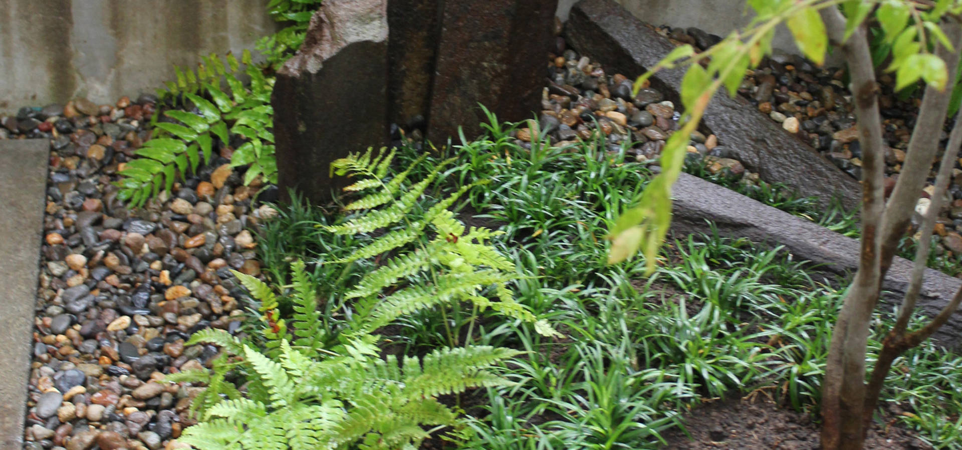 attic garden