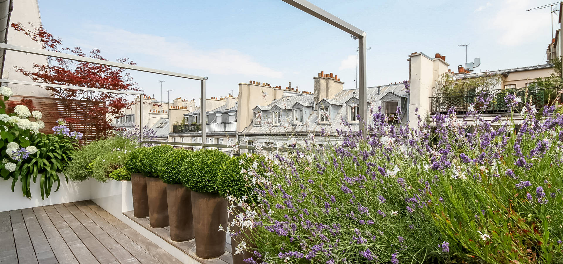 Terrasses des Oliviers—Paysagiste Paris